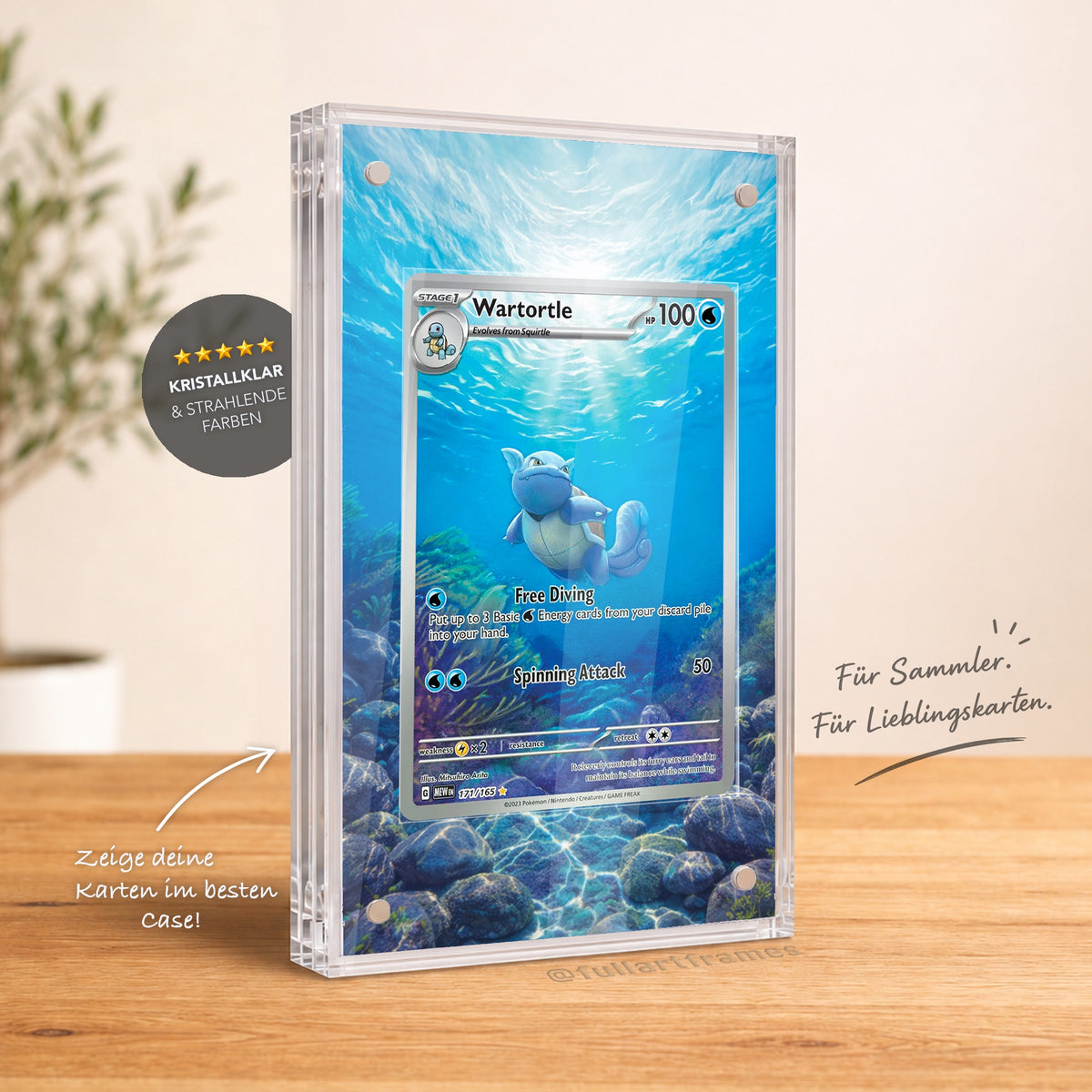 Magnetic Card Case – Schillok / Wartortle MEW 171